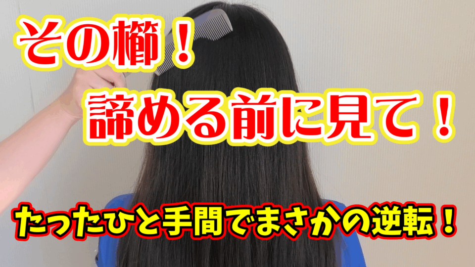 使いづらい安価な櫛をあの技術でサラサラ髪に変身させる方法！！